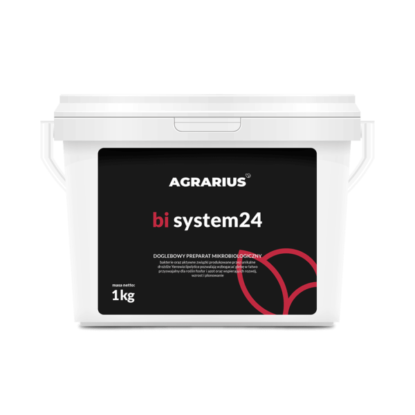 bi system24