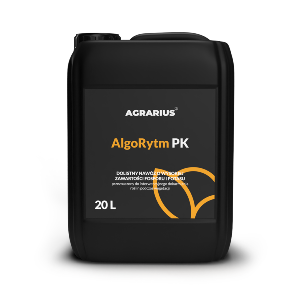 AlgoRytm PK - obrazek 3